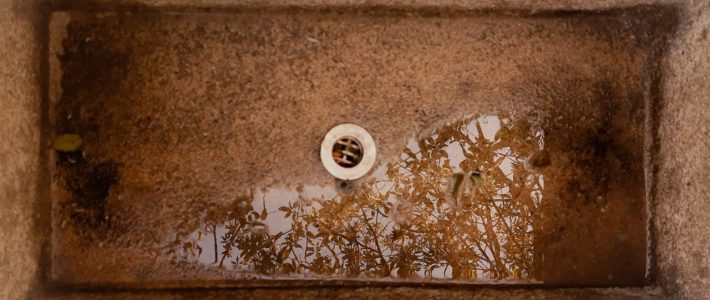 “Fotografia como suporte afetivo” recomeça seus encontros